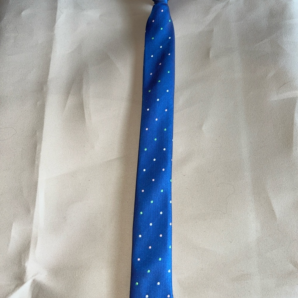 Blue Polka Dot Tie